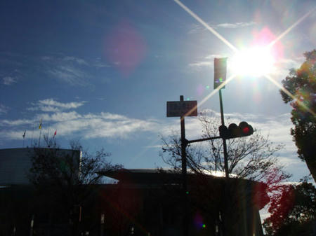 DSC03548s.jpg