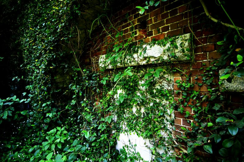 IMGP0212EDT.jpg