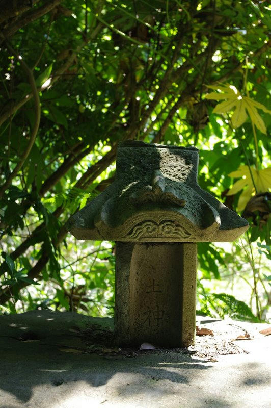 IMGP0238.JPG