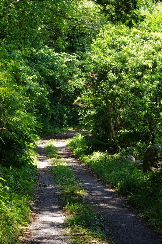 IMGP0237.JPG