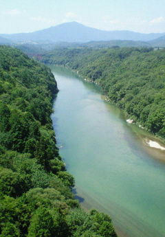200708201131000.jpg
