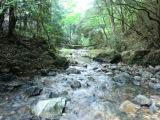 PICT0010.JPG