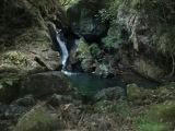PICT0008.JPG