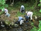PICT0006.JPG