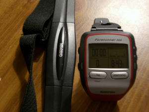 Garmin 305