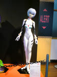 SN3D0154.jpg