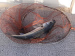 DSC00122.jpg