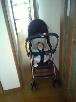 20081017_05.JPG