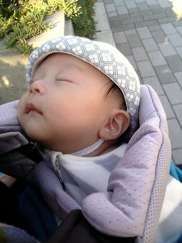 20081114_12.JPG