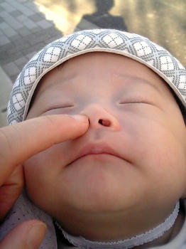 20081114_14.JPG