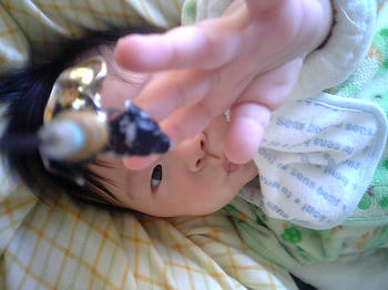 20090113_01.JPG