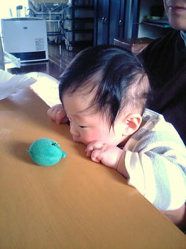 20090105_02.JPG