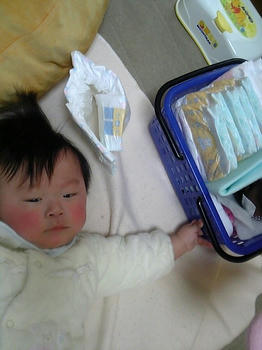 20090129_03.jpg