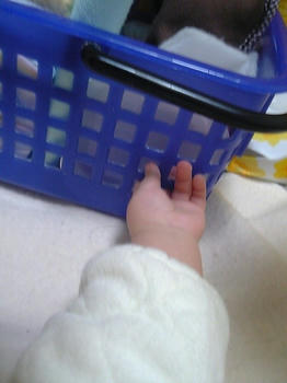 20090129_04.jpg