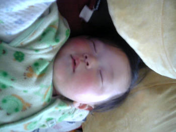 20090225_05.JPG