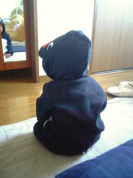 20090310_04.JPG