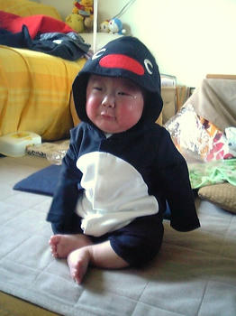 20090310_05.JPG