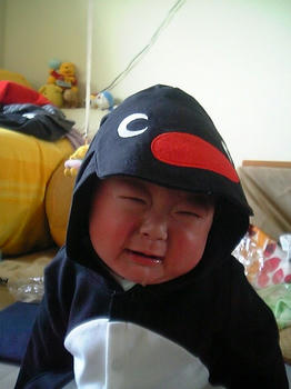 20090310_06.JPG