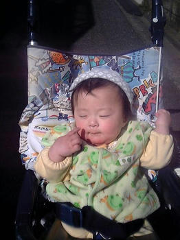 72503dcf.JPG