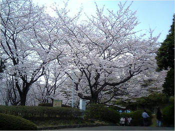 d4a63f46.JPG