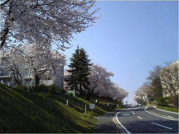 b8f54118.JPG