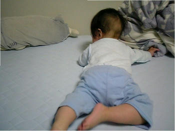 20090421_06.JPG