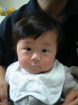 c51f24c9.jpg