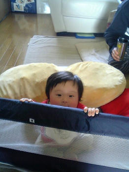 20090419_08.JPG