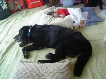 20090513_01.JPG