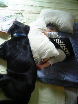 20090512_01.JPG