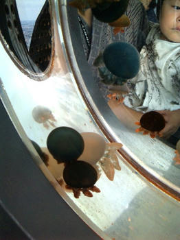 K090720_113303.jpg