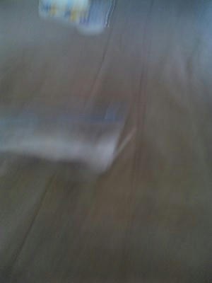 090908_075100K.jpg