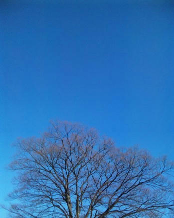 b36c296d.jpg