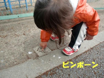 100427_CIMG1273K.jpg