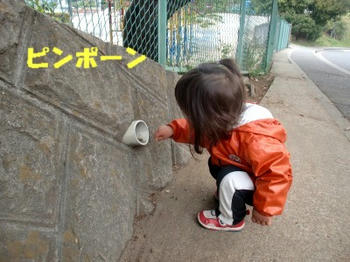 100427_CIMG1275K.jpg