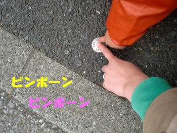 100427_CIMG1289K.jpg