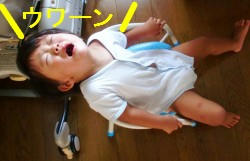 a1f33b61.jpg