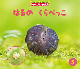 img_cover_kagaku.jpg