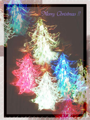 christmas_trees.jpg