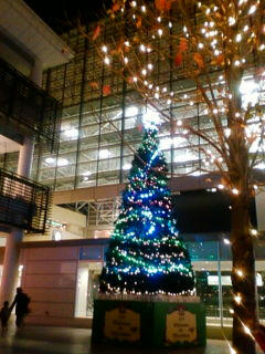20111221170715.jpg