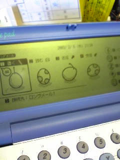 すかい5
