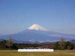 IMGP0749.JPG