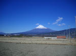 IMGP0928.JPG