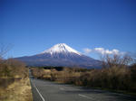 IMGP0935.JPG