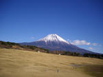 IMGP0946.JPG