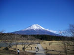 IMGP0950.JPG