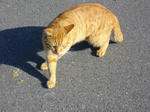 IMGP1012.JPG