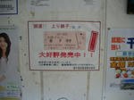 IMGP1241.JPG