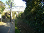 IMGP1249.JPG