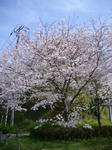 IMGP1314.JPG